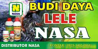 AGEN NASA DI Air Dikit Mukomuko - TELF 082334020868 AGEN NASA DI Air Dikit Mukomuko - TELF 082334020868