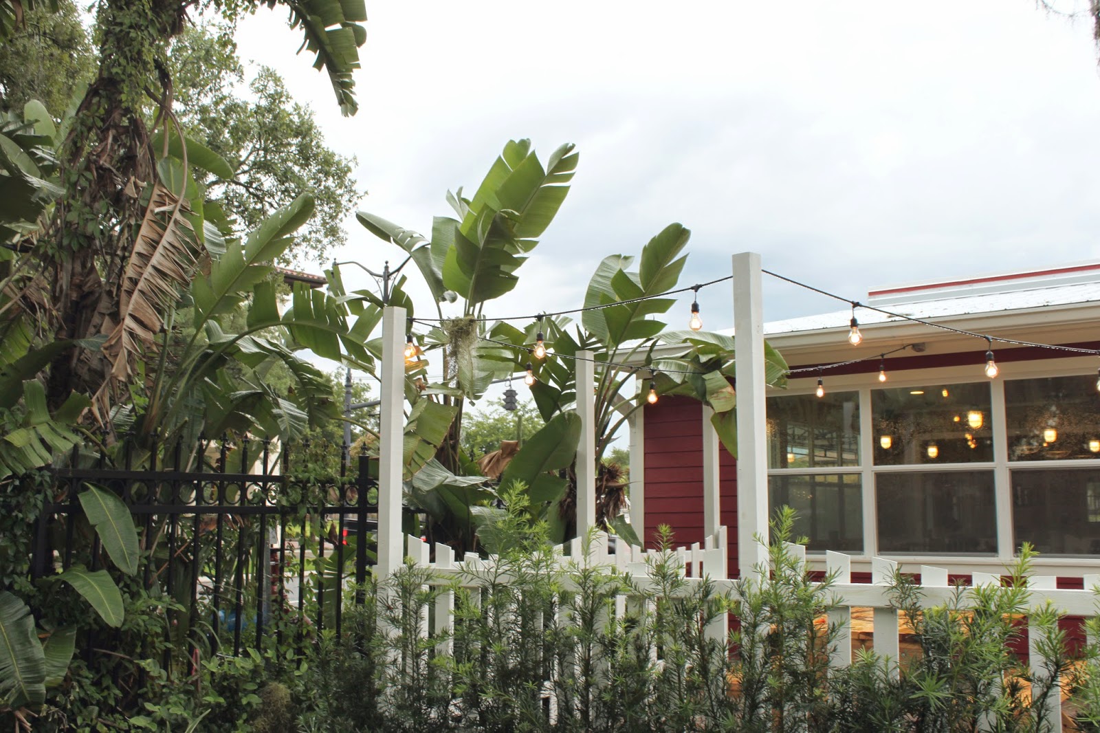 coop [winter park] Flora & Fauna