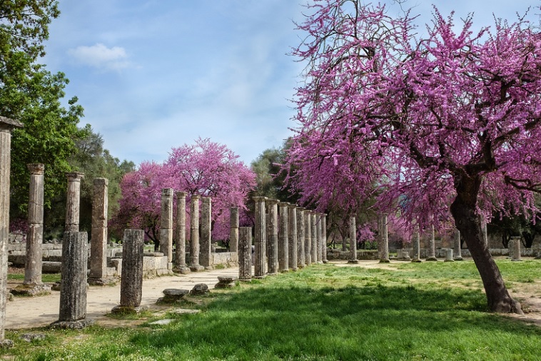 Trees of Christianity in Africa