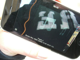 Promenad%2Bute%2B%25281%2529 - Dansk morgonpromenad