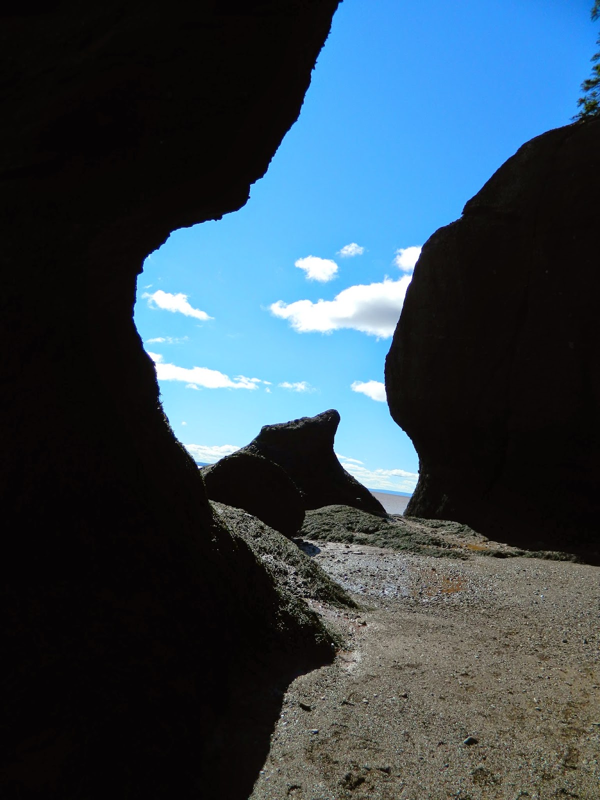 A Lovely Life, Indeed: Hopewell Rocks..a Weekend in New Brunswick