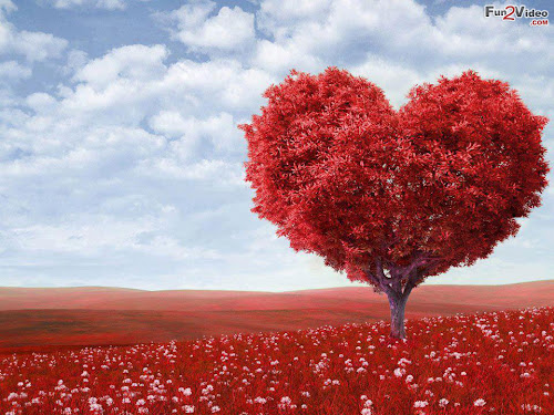 red-heart-love-picture