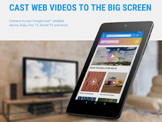 Web Video Cast App Cast