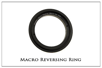 Reversing Ring