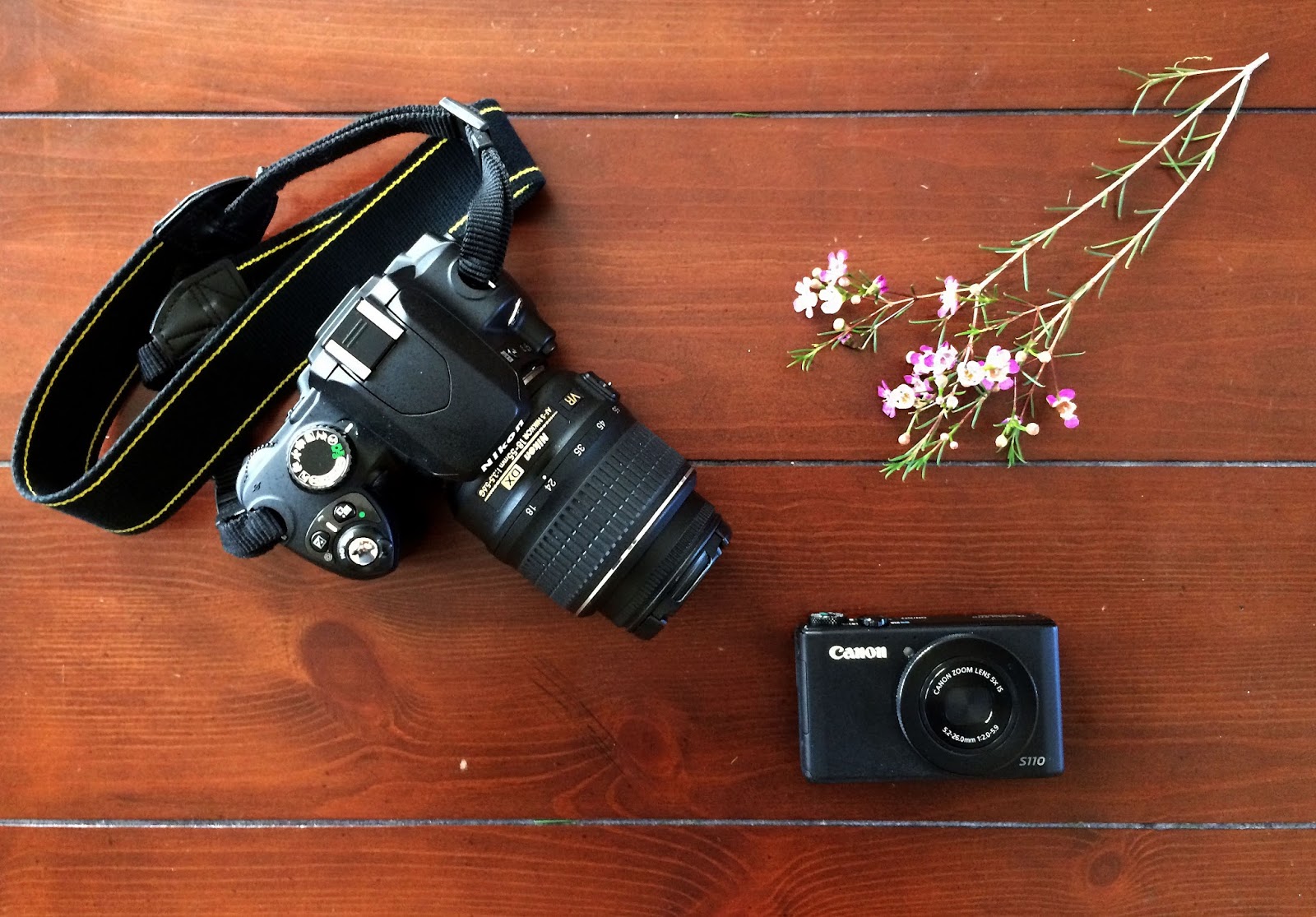 Ahem, It's Emme Blogging Tips DSLR vs. Point & Shoot Cameras