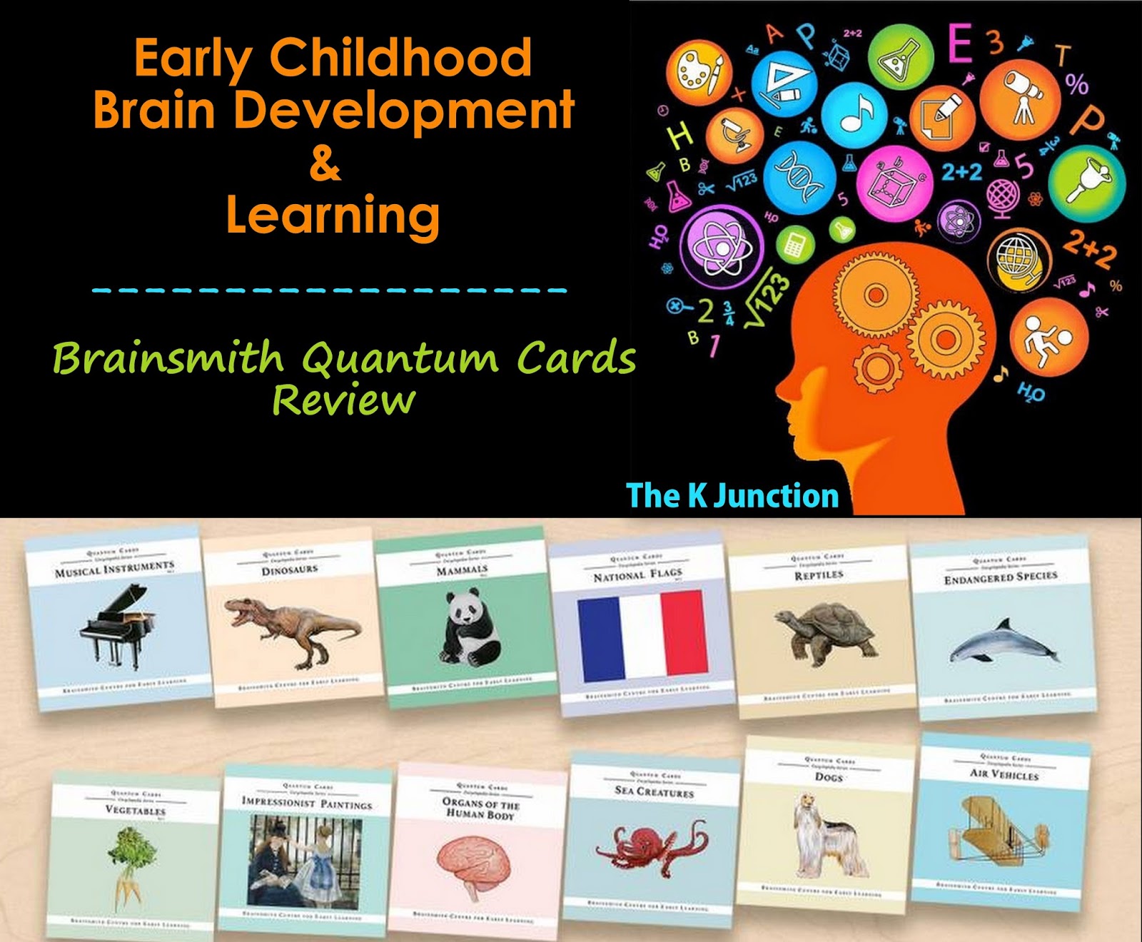toddler brain development