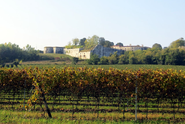 pista ciclabile peschiera mincio