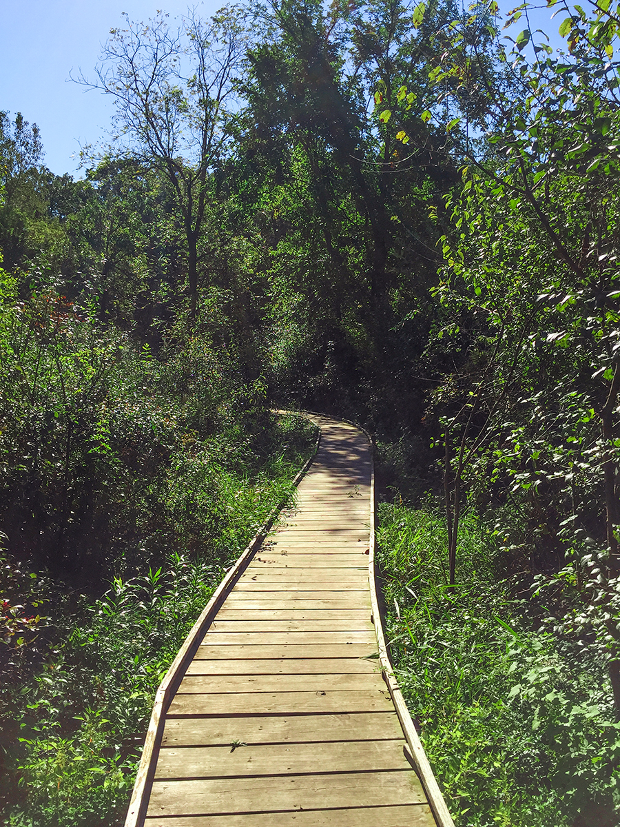 Along the Ice Age Trail Verona Segment