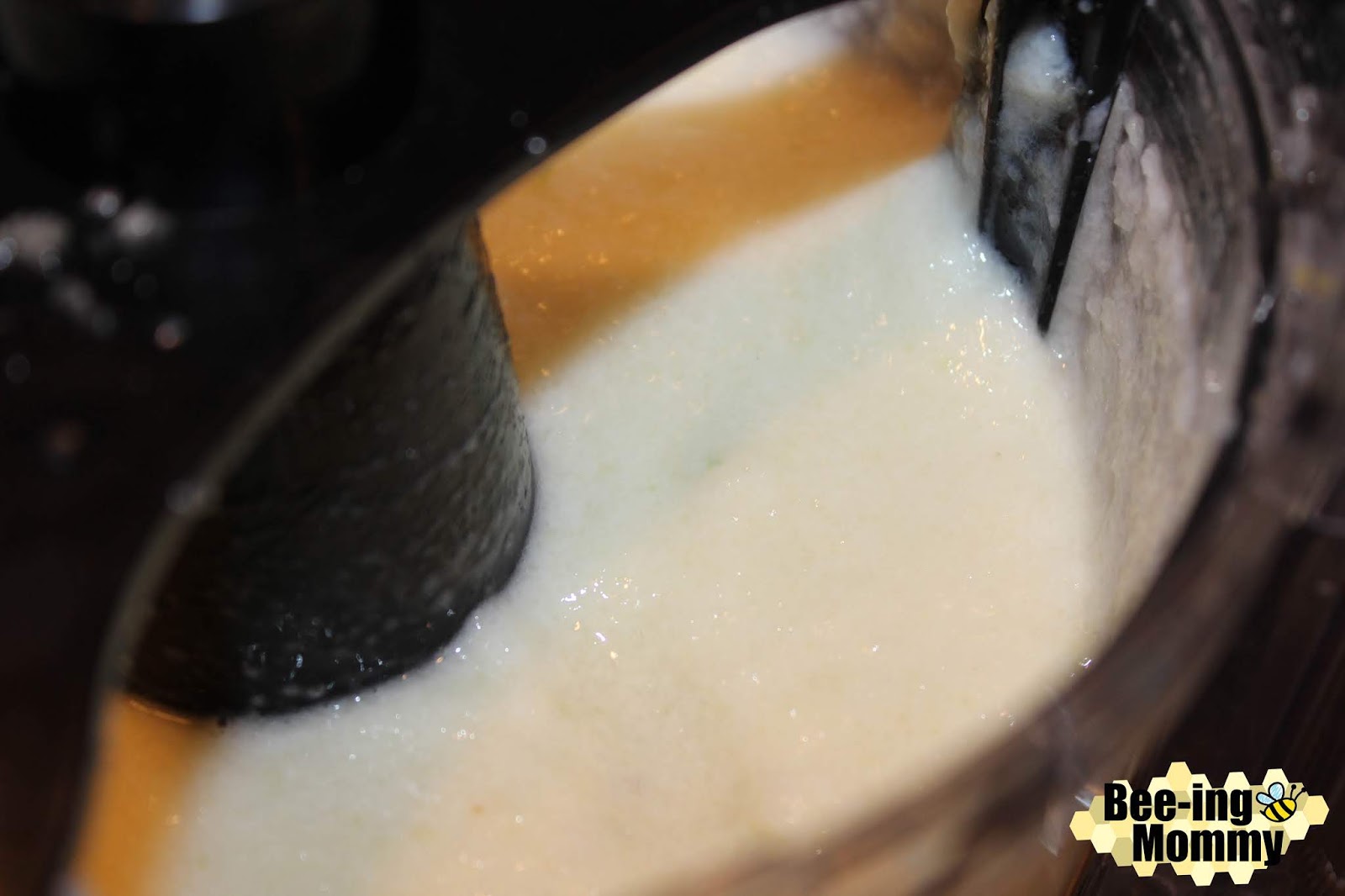 Healthy Homemade Yogurt Melts Recipe