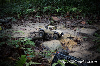 [PHOTOS] 20160424 - Rifle Range Road - Durian Loop Trail Photos DSC02844