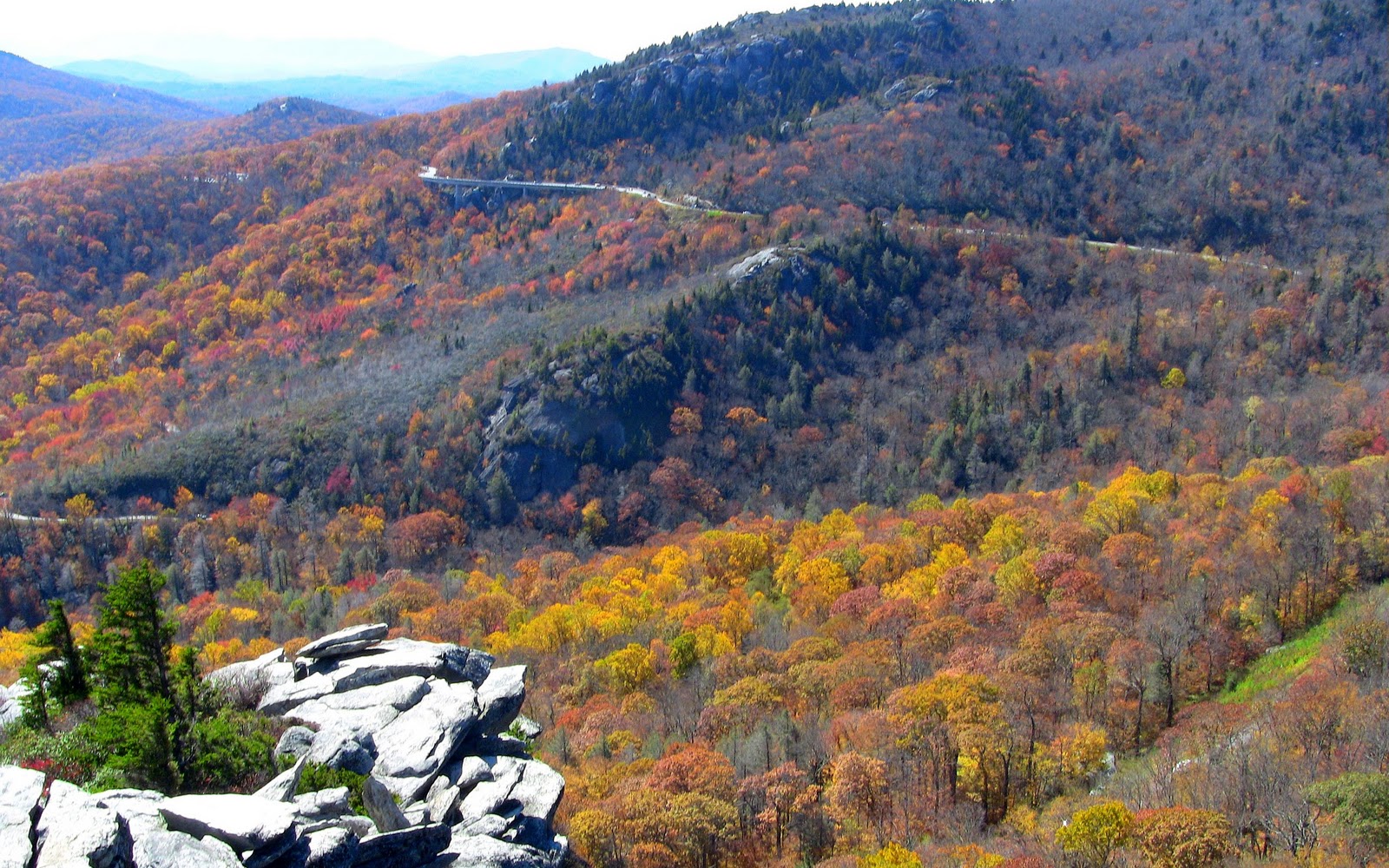 Volunteer at IUPUI Fall Alternative Break Boone, North Carolina