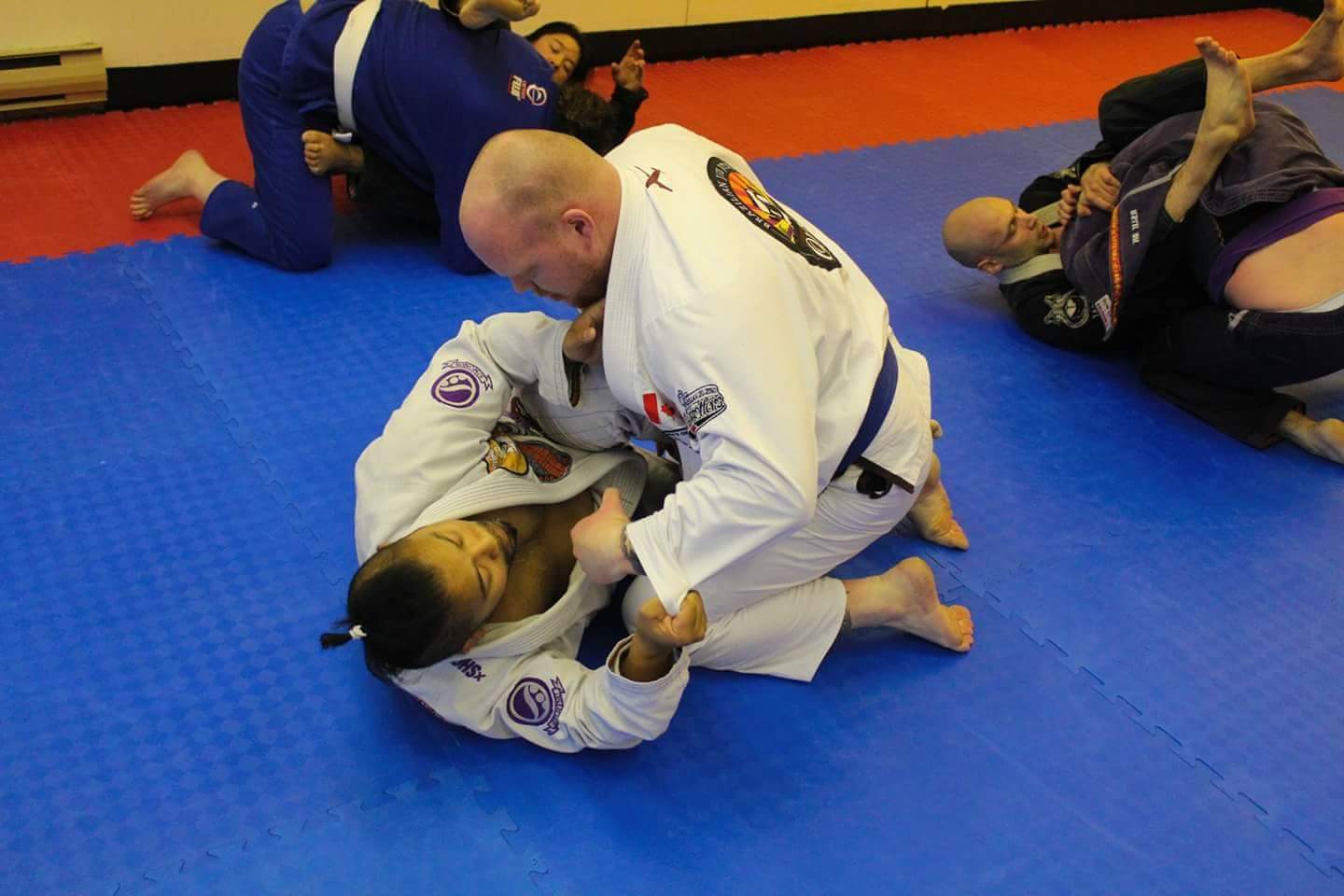 Panda's Odyssey My Journey Across The World With Martial Arts Thunder