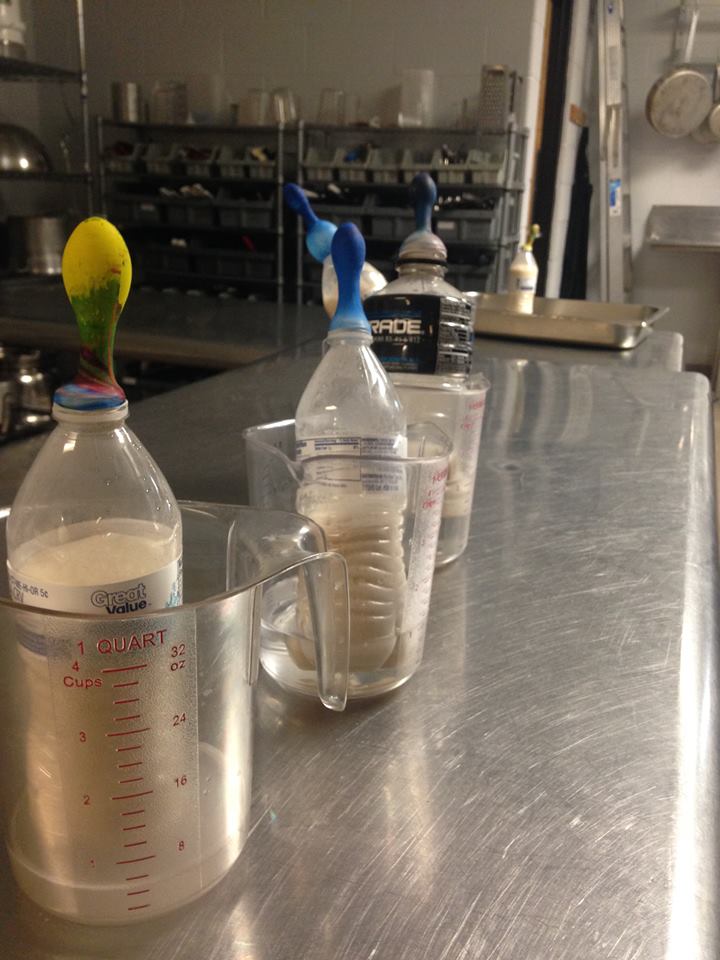 TeachingCulinary101 Yeast Bread Unit