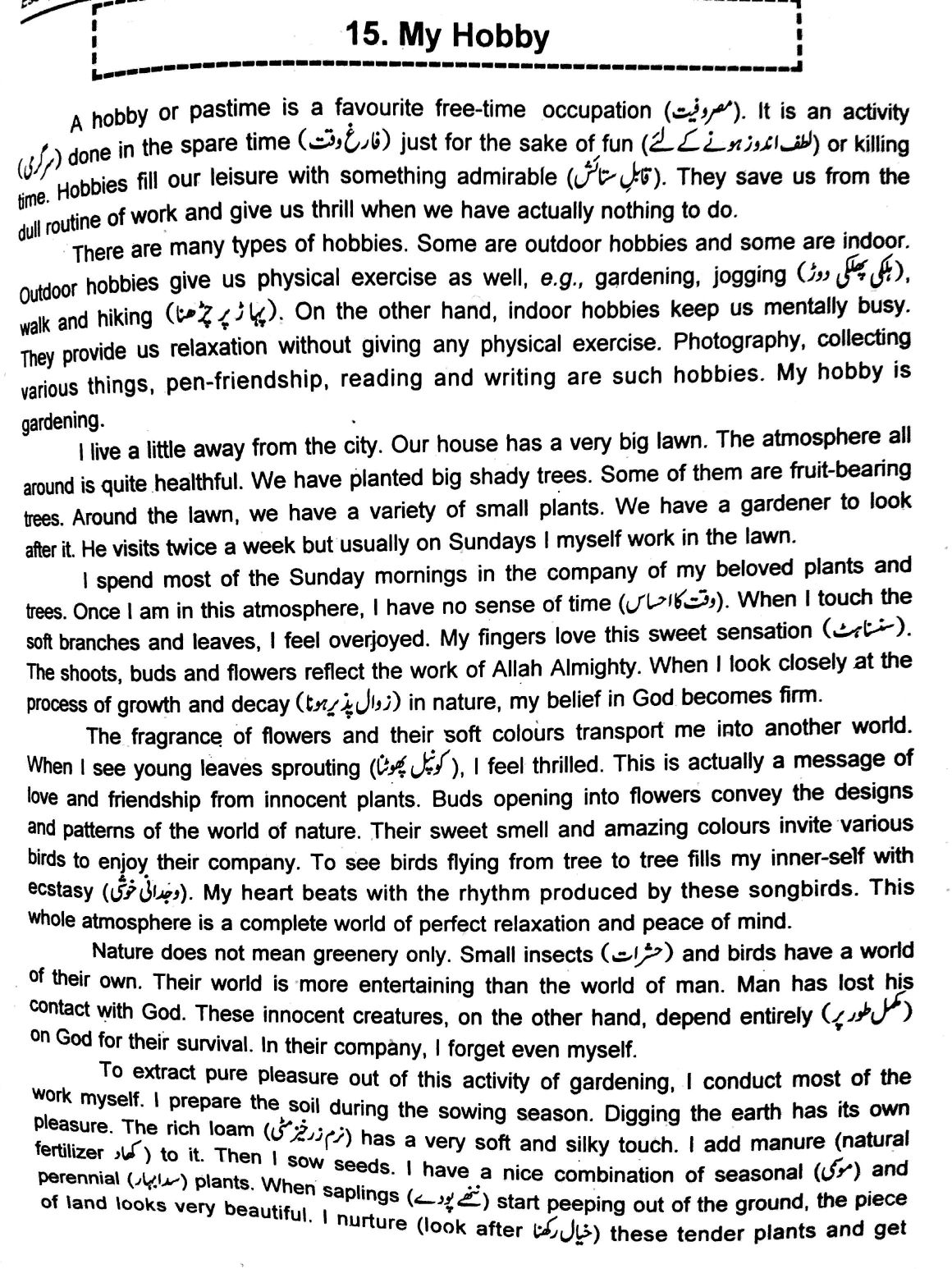 write a short essay on my hobby