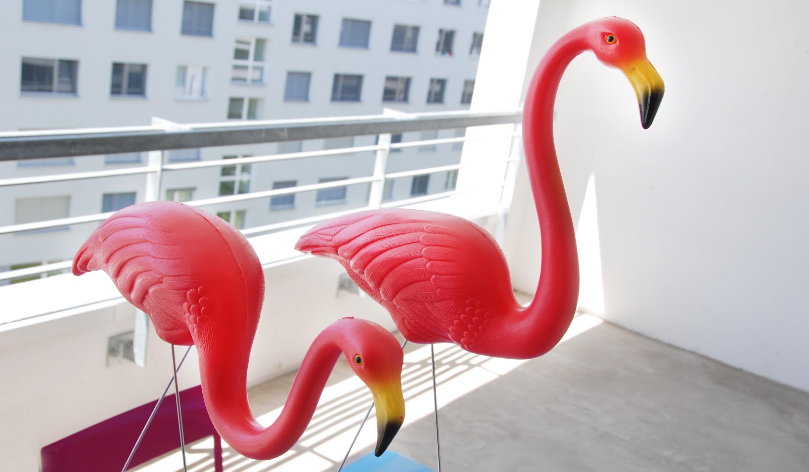 Once Upon A Time There Was Flamingo Sara Is In Love With Don Featherstone Garden Flamingo Pink 50s Decoration