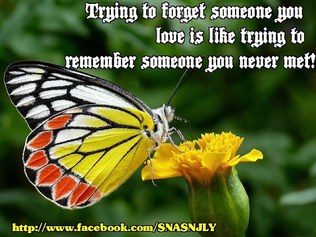 trying to forget someone you love, Sometimes Naughty and Sometimes Nice, facebook, quotes, images, pics
