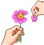 imagem-bem-me-quer.gif