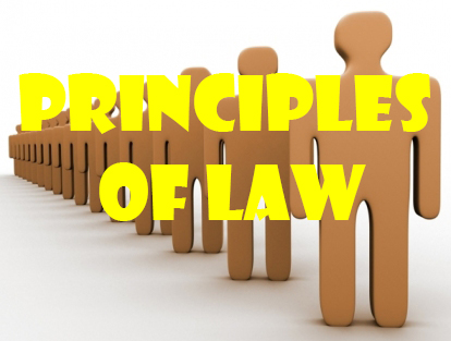 Primal Principles Legal Basics