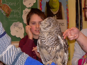 Owls in the classroom!