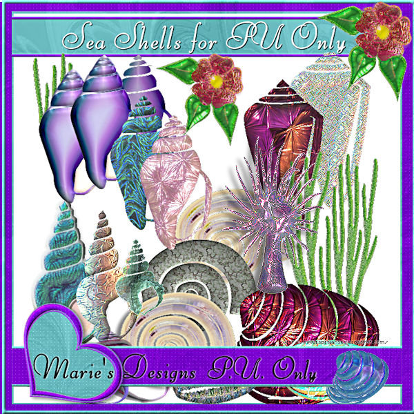 Marie's Designs: Sea shell Elements