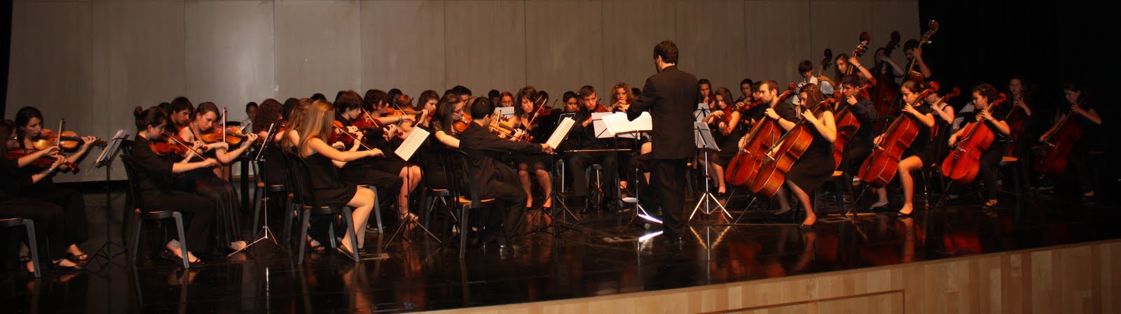 Proyecto Orquestal Promusica de Malaga
