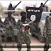Boko Haram Kills 13 People in Fresh Borno Attack
