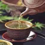 O chá de folhas de Espinheira santa