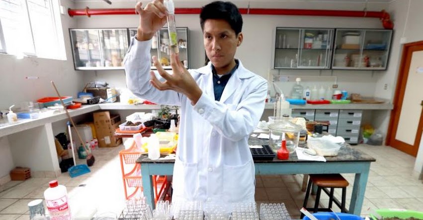 UNMSM: Estudiante de la Universidad San Marcos buscan crear medicamento antitrombótico a partir de veneno de serpiente UNMSM: Estudiante de la Universidad San Marcos buscan crear medicamento antitrombótico a partir de veneno de serpiente