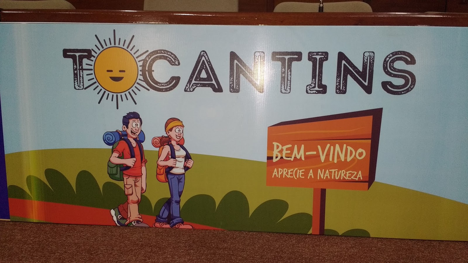 Resultado de imagem para Sudeste do Tocantins mostra sua cara”