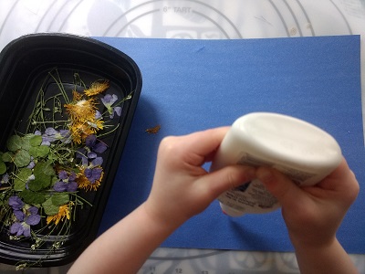 Preschool child making a collage with dried flowers