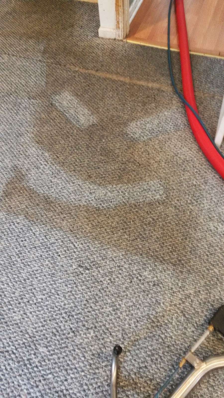 Carpet Cleaners In Carpet Cleaners In Nj