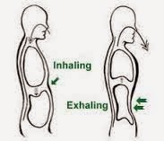 Exhale - Hold - Inhale - Hold: The Breathing Cycle