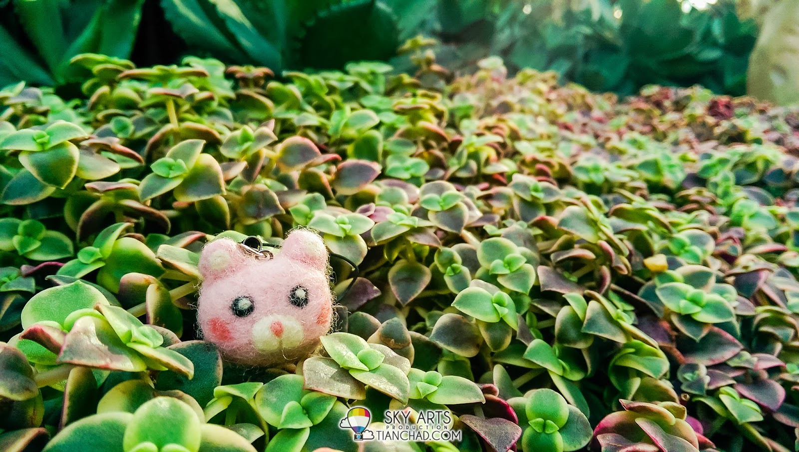 Macro shot of a keychain laying on top of miniature plants at Flower Dome @ Gardens by the Bay