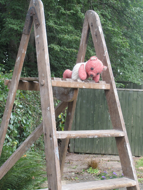 Fiddly Fingers crochet bear Taffy climbed ladder now stuck