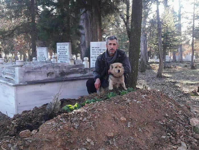 Grieving Dog Leaves His Home Every Day After His Owner Died. The Reason Will Make You Cry!