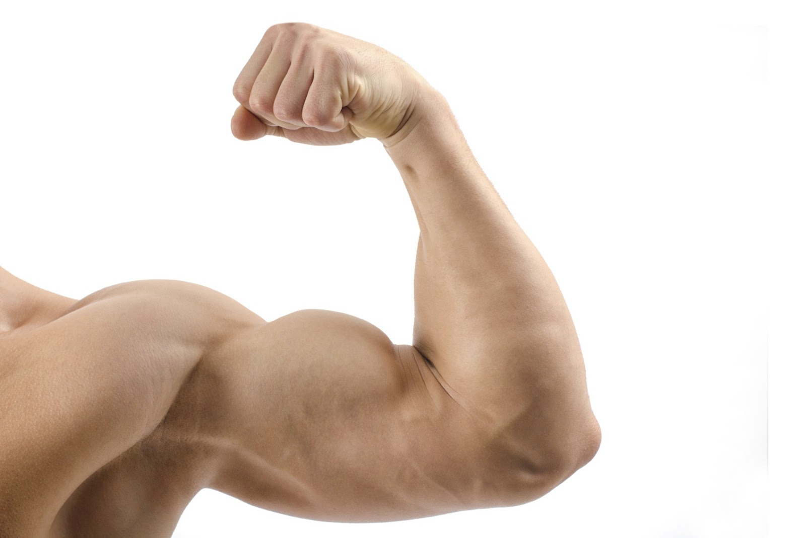 Ashwagandha Boosts Muscle Size and Strength Ashwagandha Boosts Muscle Size and Strength