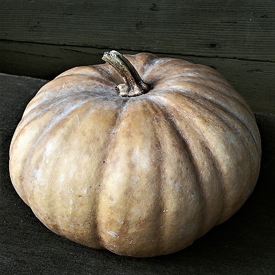 Plants & Gardens in Colonial & Early America Plants in Early American