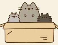 pusheen little brother