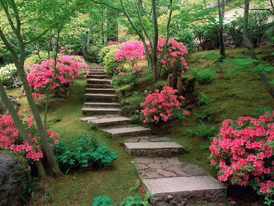 Beautiful Garden - Taman Yang Indah