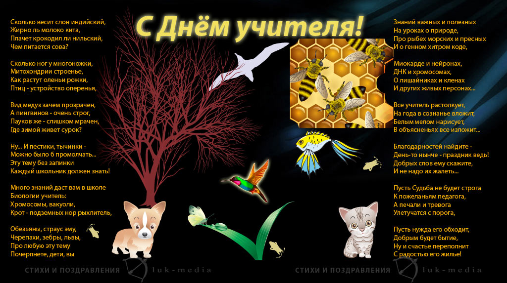 Для, картинки с поздравлением учителя биологии