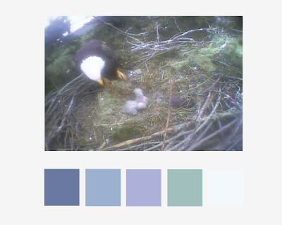 Color palette from the eagle nest image