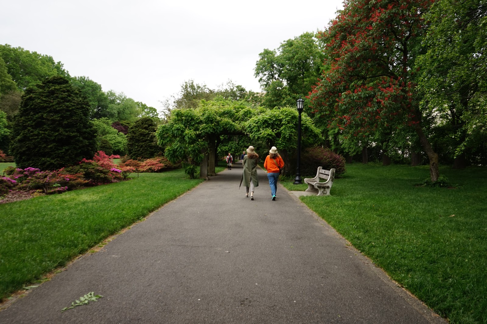 Jardín Botánico de Brooklyn ~ A new au pair in the USA