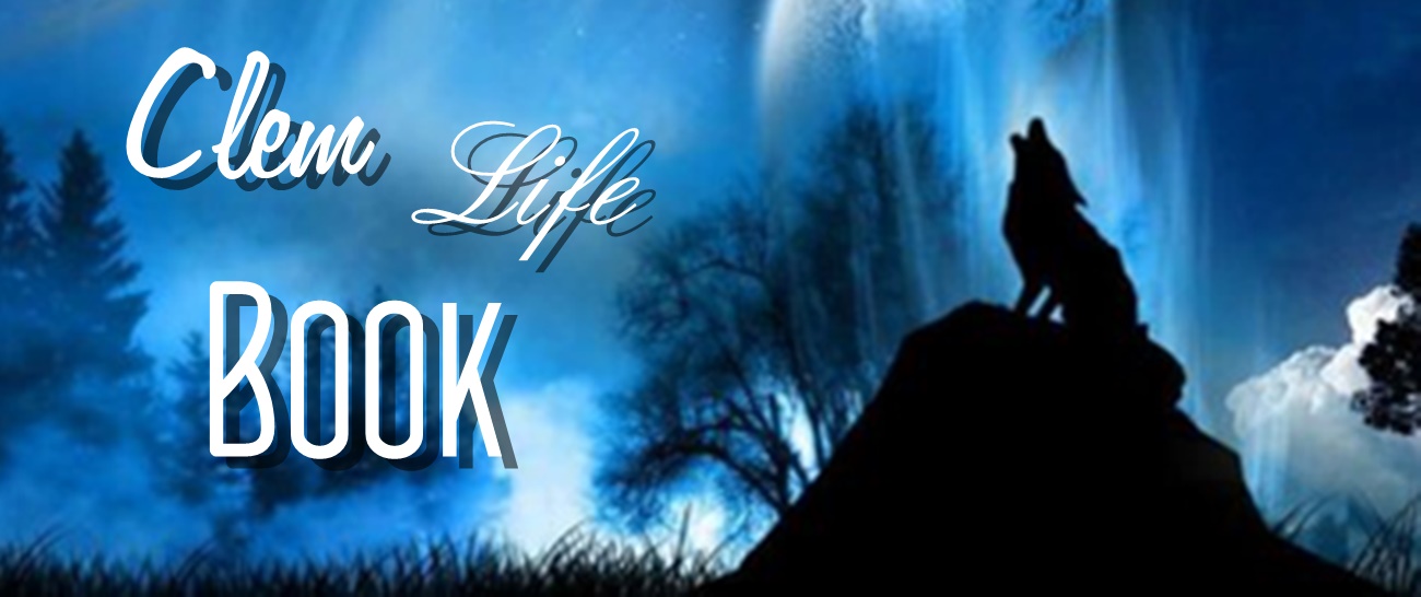Saison 2 Lete Ou Je Suis Devenue Jolie Clem life book: L'été où je suis devenue jolie