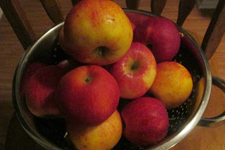 Bowl full of apples