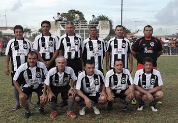 BOTAFOGO de Ademar