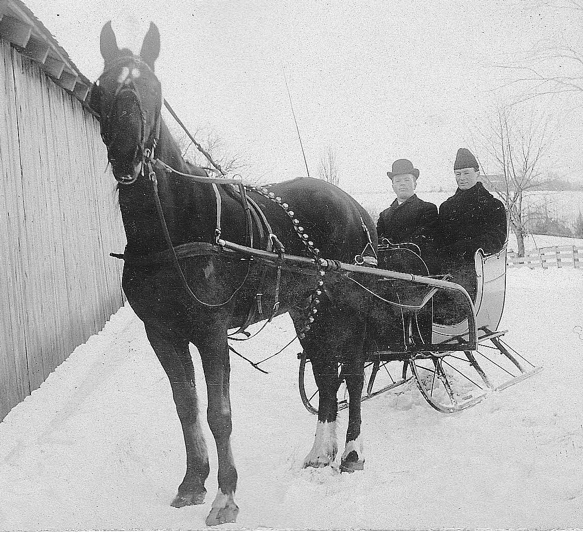 Camera on King & Aurora Onehorse open sleighs
