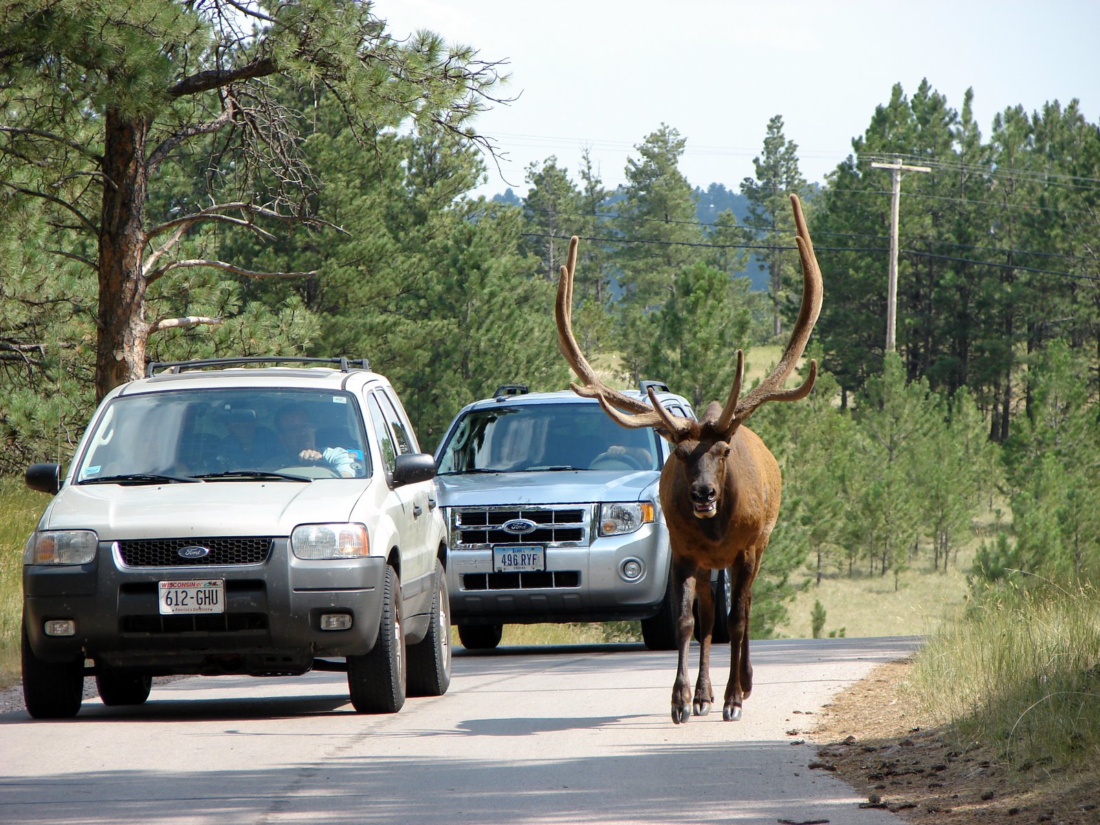 RVing and Travels...Adventures with Suzanne and Brad Bear