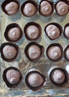 Baking Banquet: Frozen Yogurt and Chocolate Bliss Cups