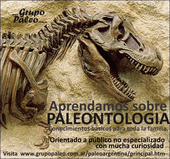 Aprende todo sobre Paleontologia