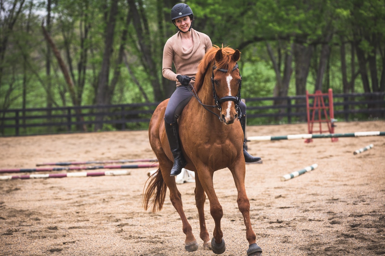 Horses, Huskies, and Husbands A Family Photo Break